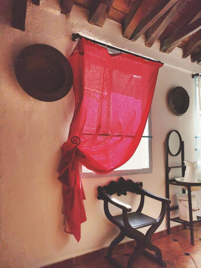 Hostel Patio 19 Malaga Zewnętrze zdjęcie